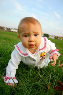Domino, crawling towards the camera in a grass field.
