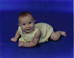 Domino, sleeping in a bed of roses